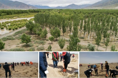 馳騁戈壁，守護(hù)生靈 奇瑞汽車科考公益行動(dòng)與資源再生技術(shù)研發(fā)的雙重使命